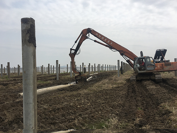 �������Ұӹ������