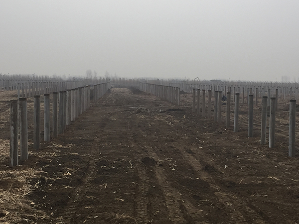 ����Э�ι��ũ��